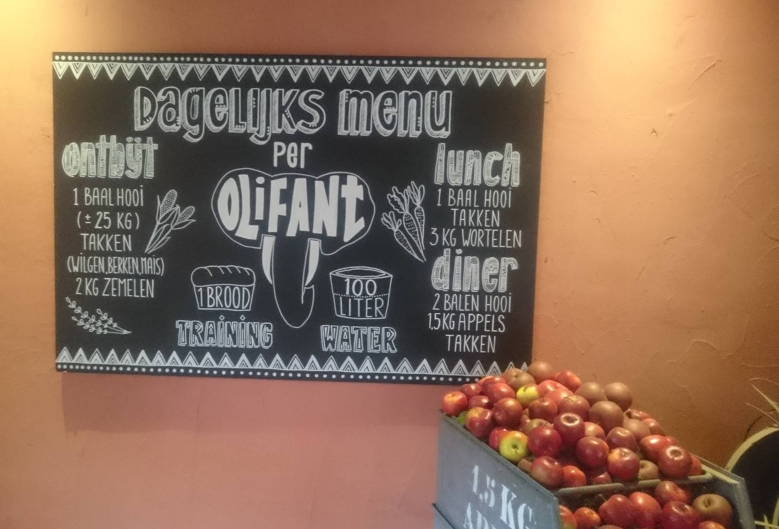 Information Elephant diet