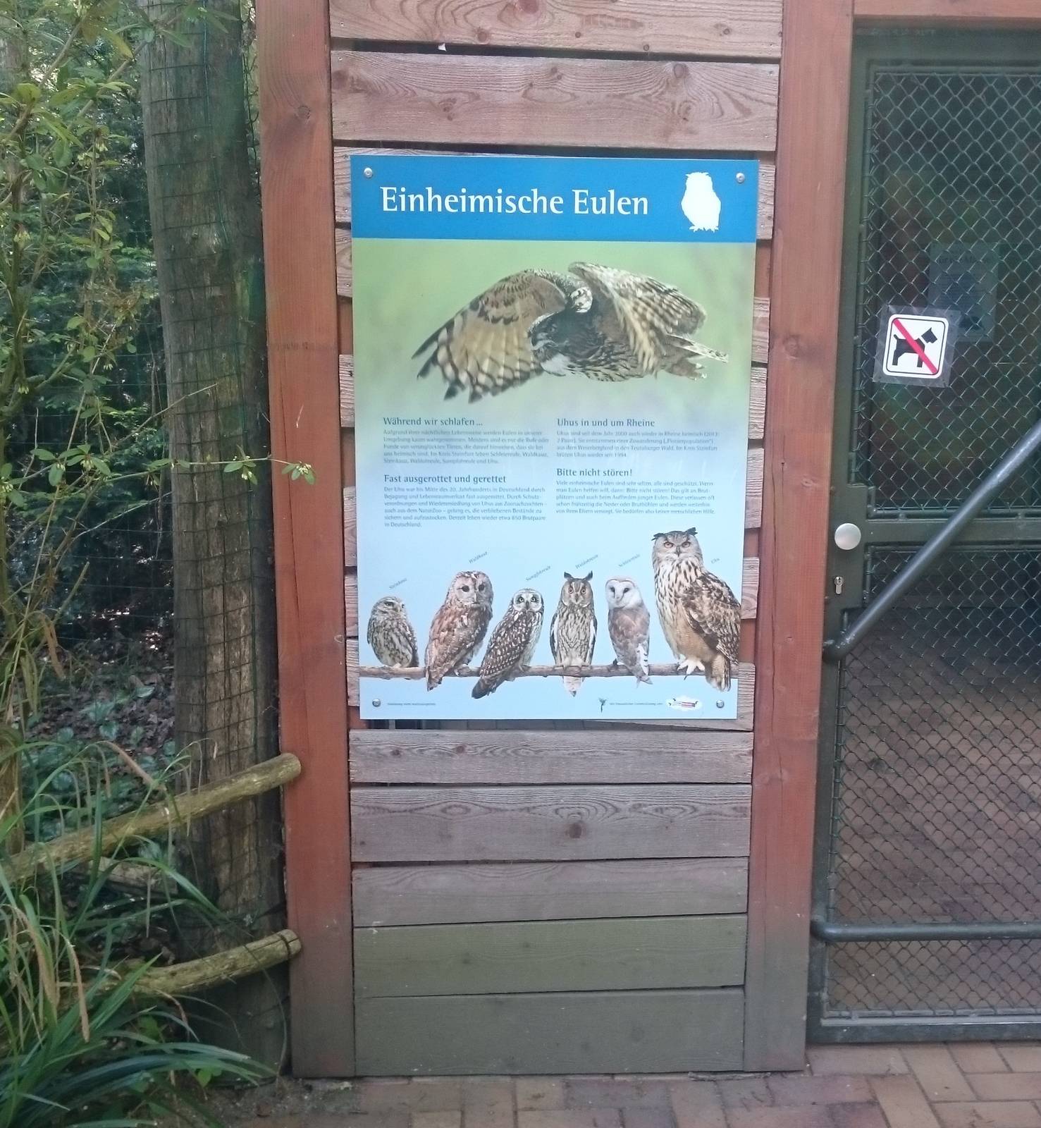 Information native owls