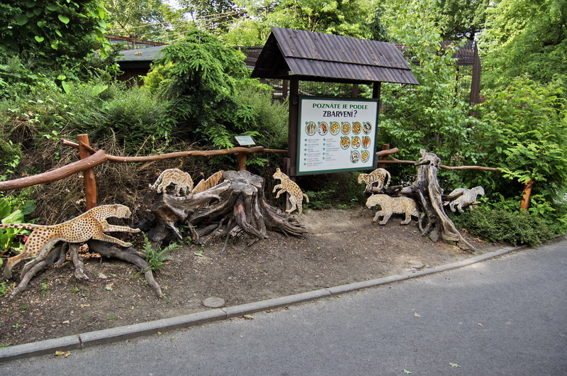 Information panels of cats
