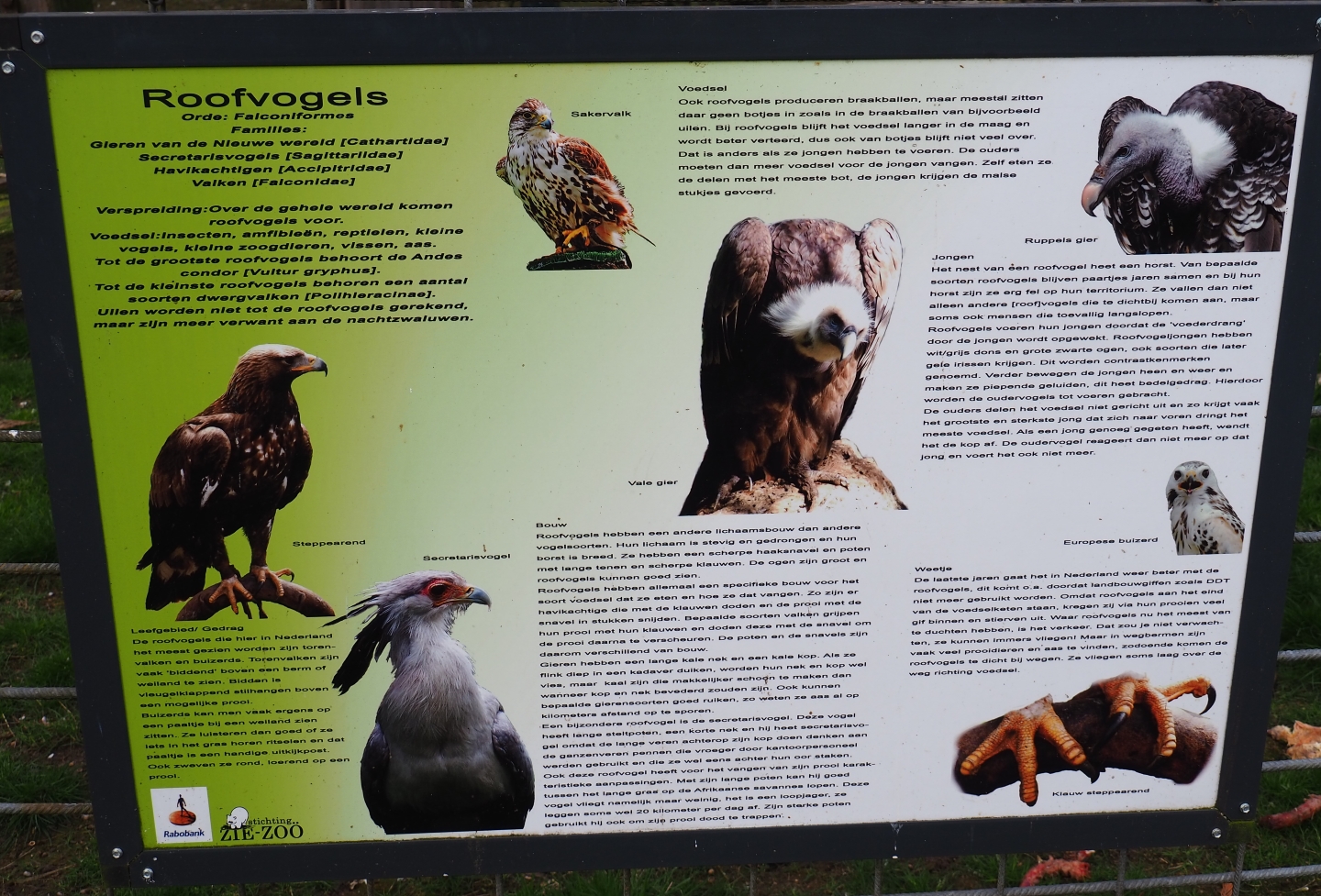 Information sign about birds of prey, 2019-04-06
