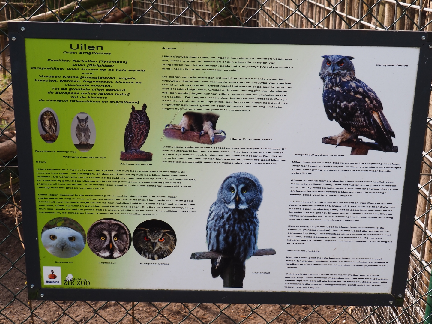 Information sign about owl, 2019-04-06
