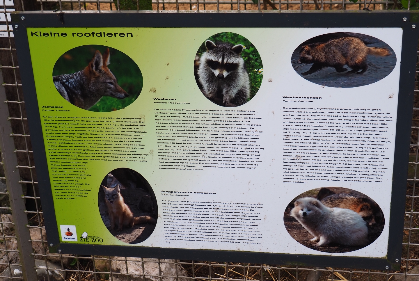 Information sign about small carnivores, 2019-04-06