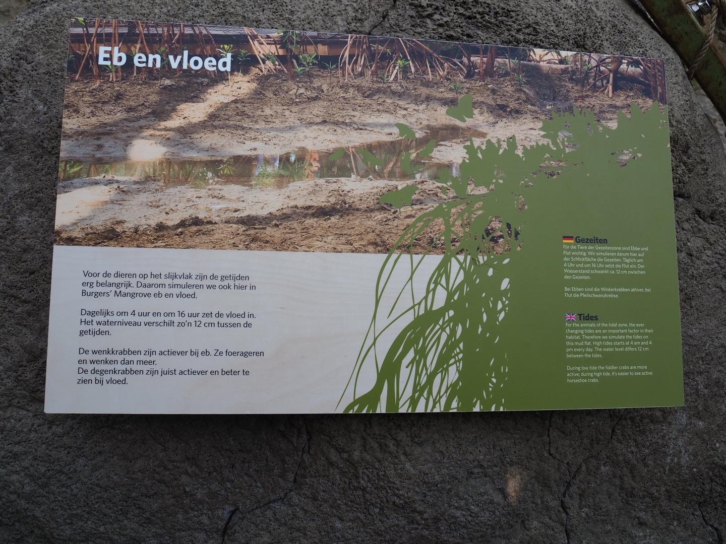 Information sign about tidal cycles (Sep 16th, 2018)