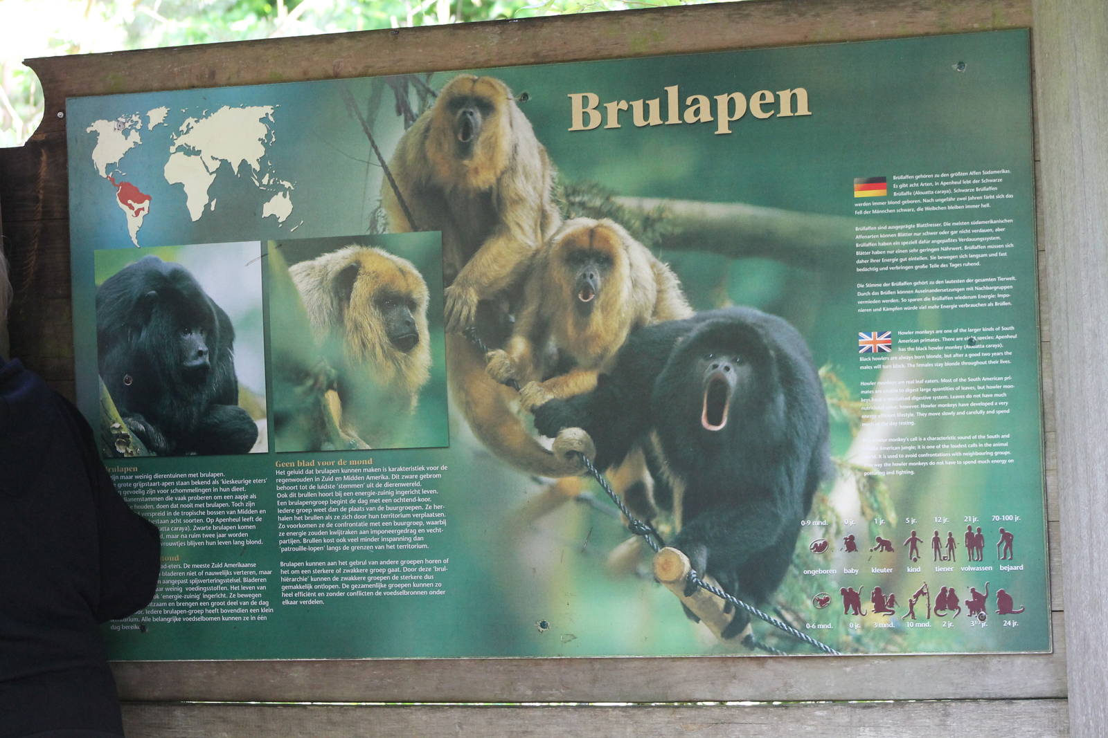 Information sign Black howler monkeys
