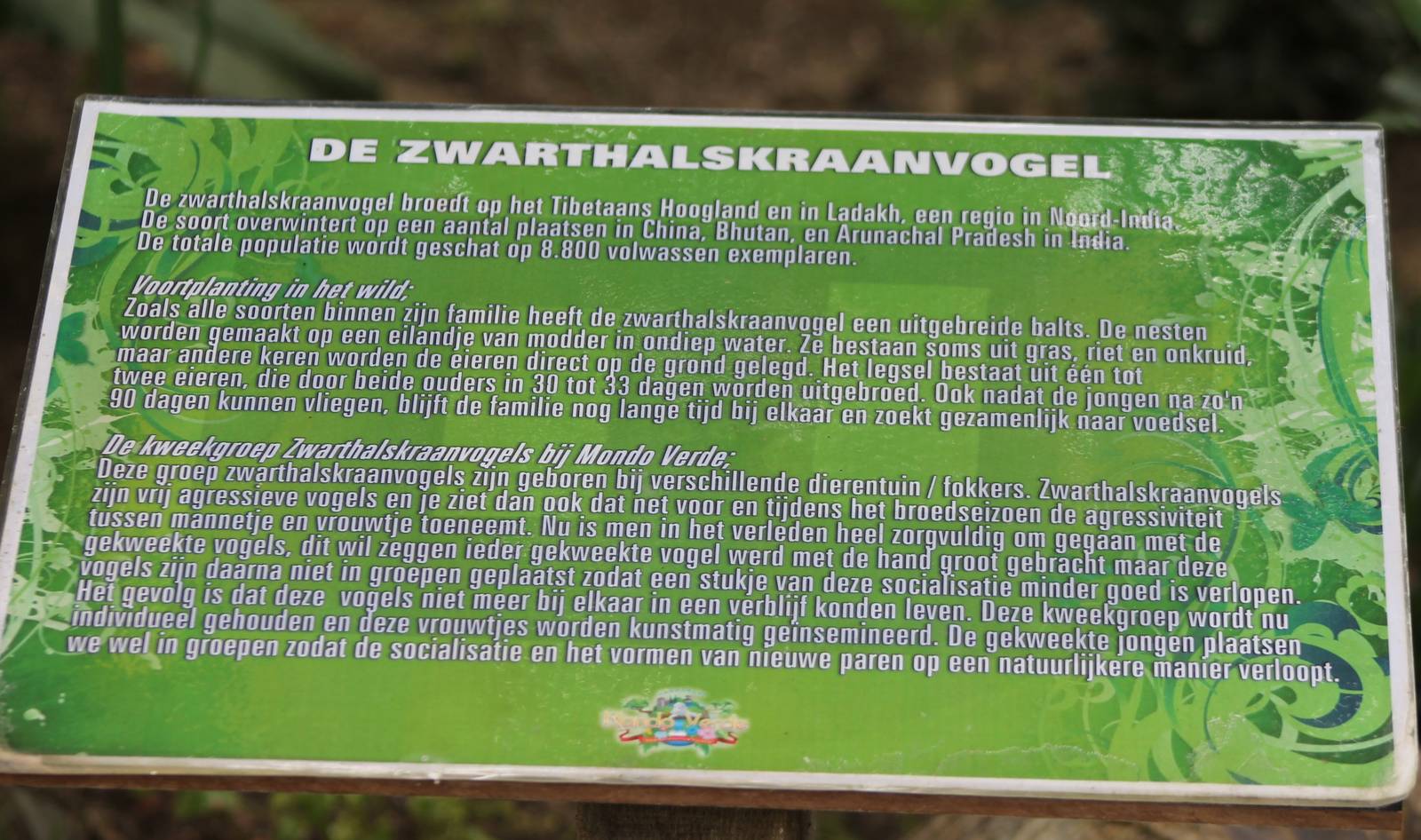 Information sign Black-necked cranes