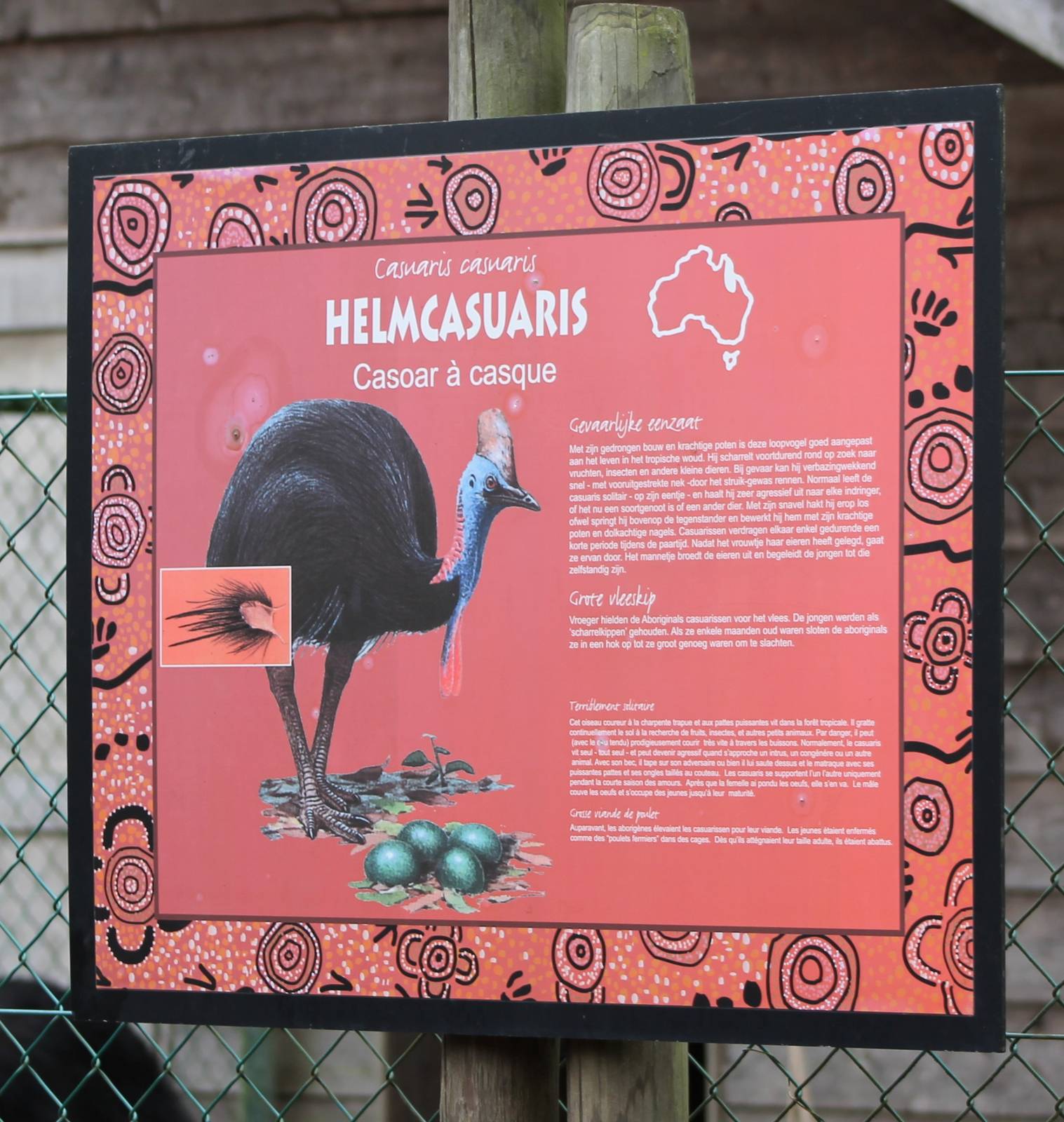 Information sign Double wattled cassowary