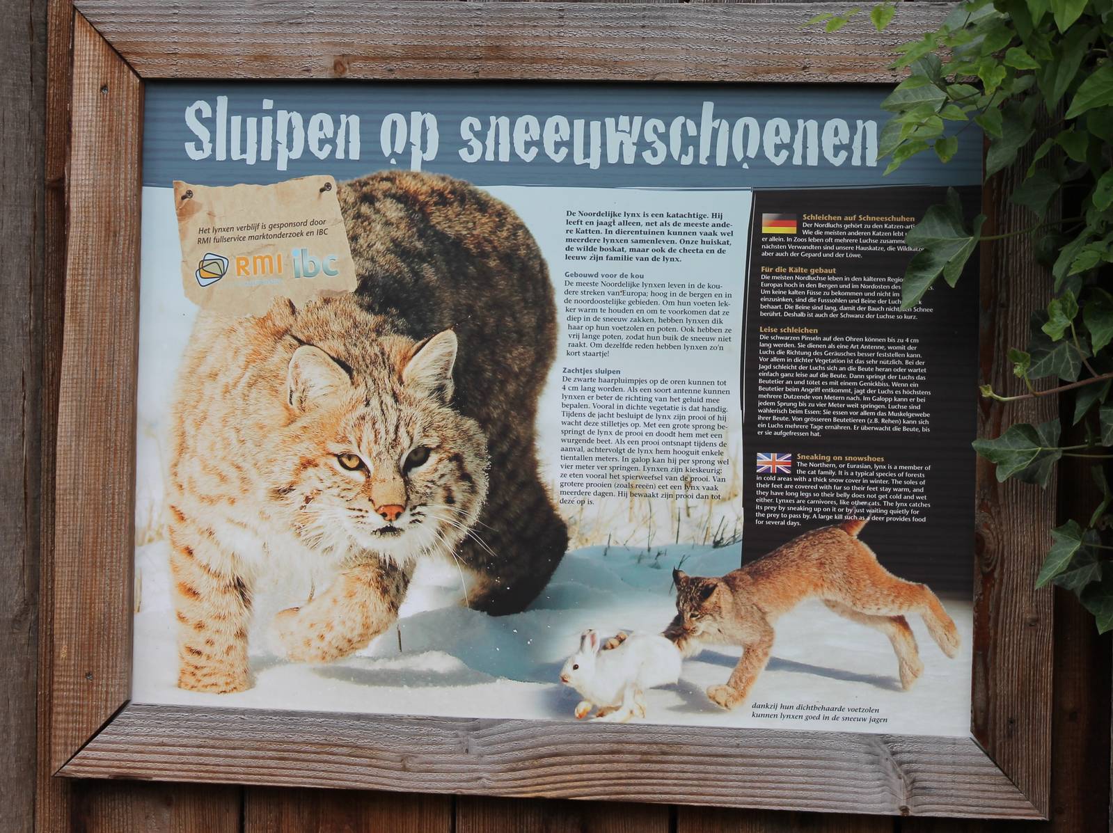 Information sign European lynx