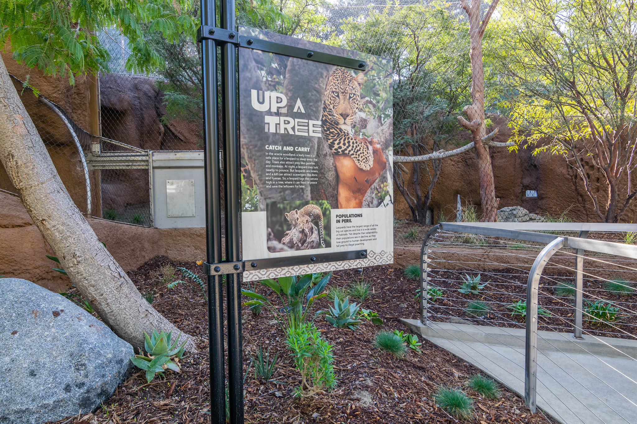 Information sign for leopard.