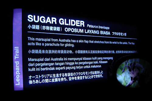 Information sign, Night Safari