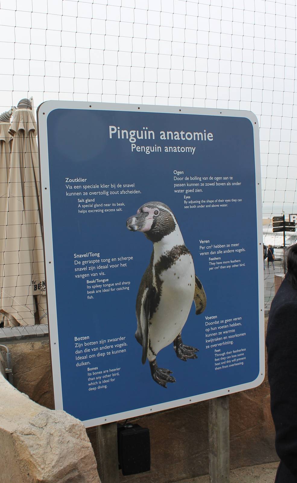 Information sign penguins