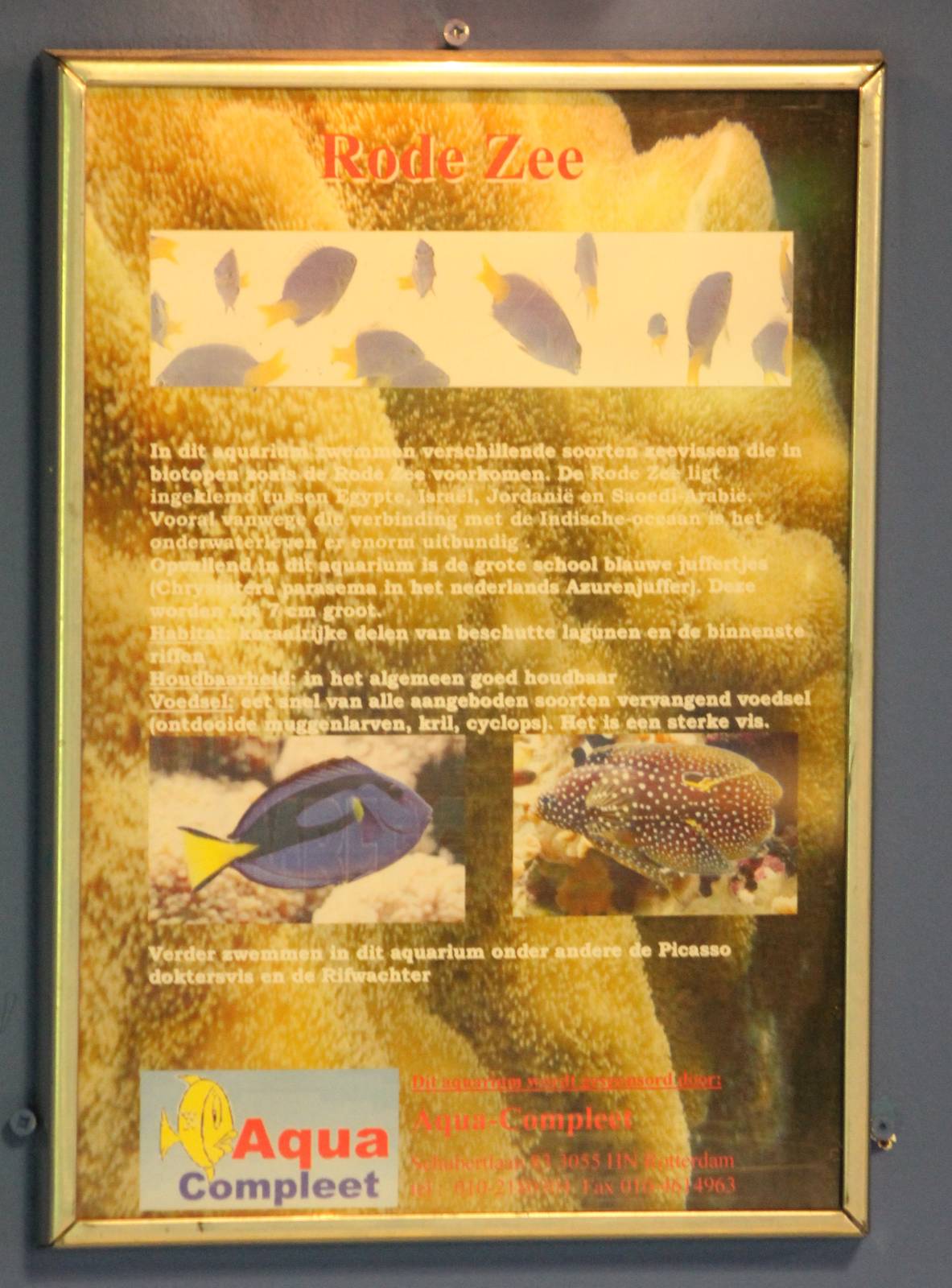 Information sign Red Sea