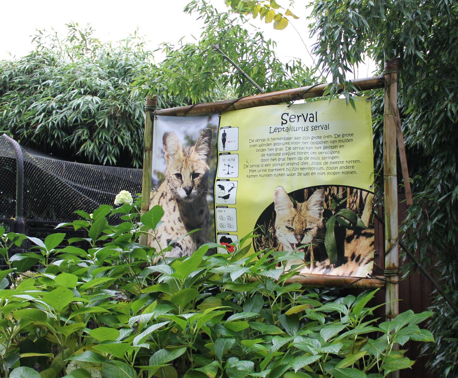 Information sign Servals