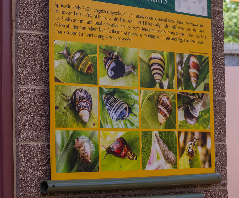 Information sign