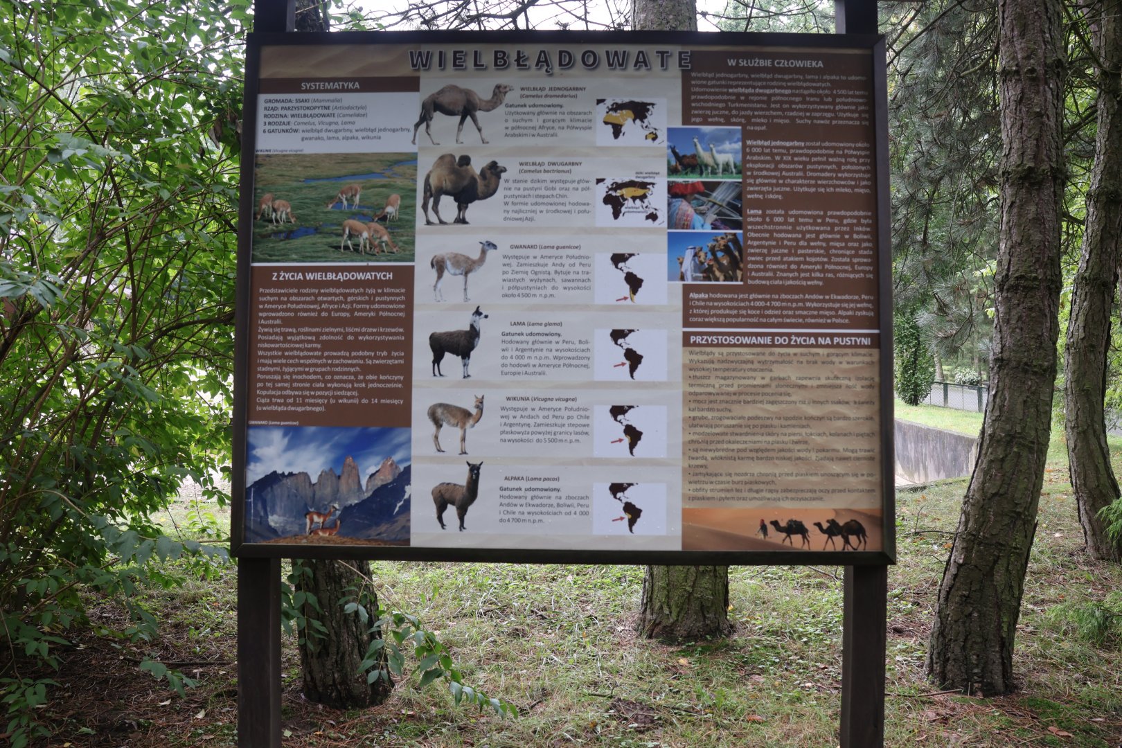 Information sign
