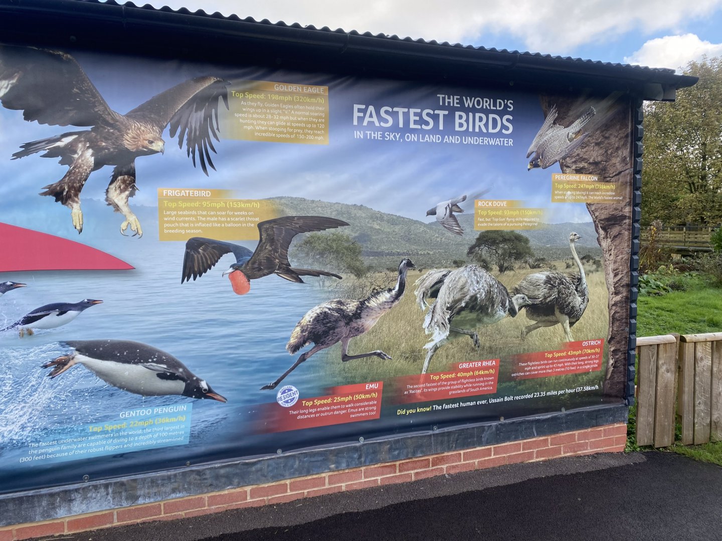 Information signage 241023