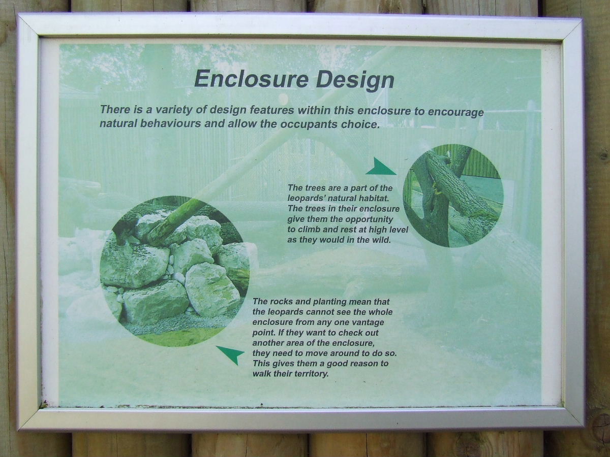 Information table about the Enclosure Design, Amur Leopard exhibit