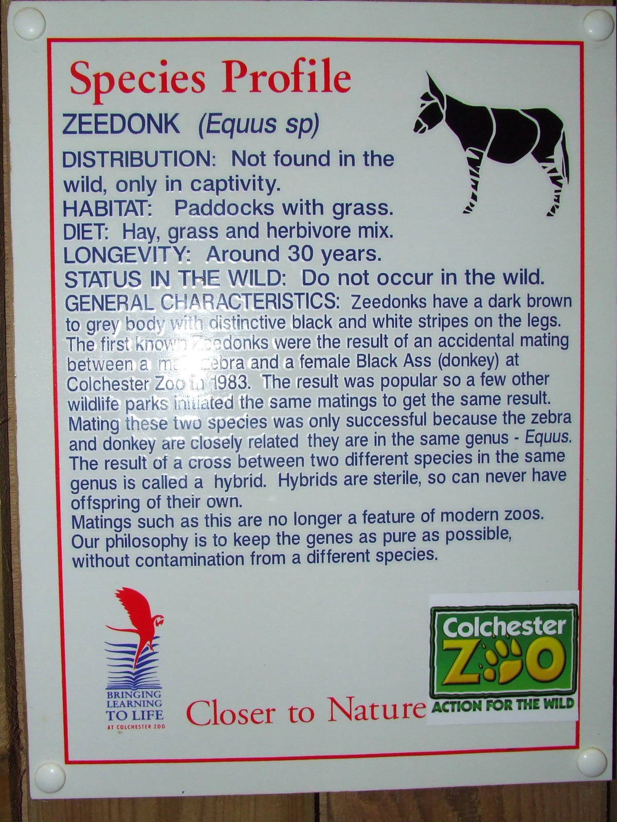 Information table, Species Profile, Zeedonk