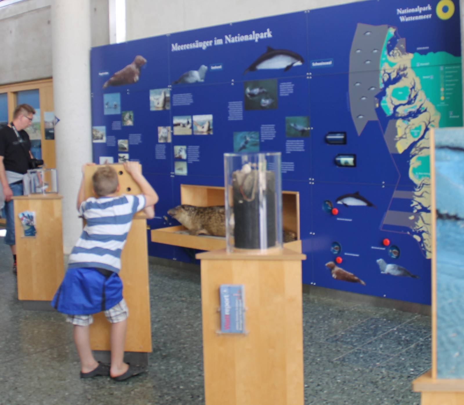 Information-wall about the mammals of the Wadden-sea
