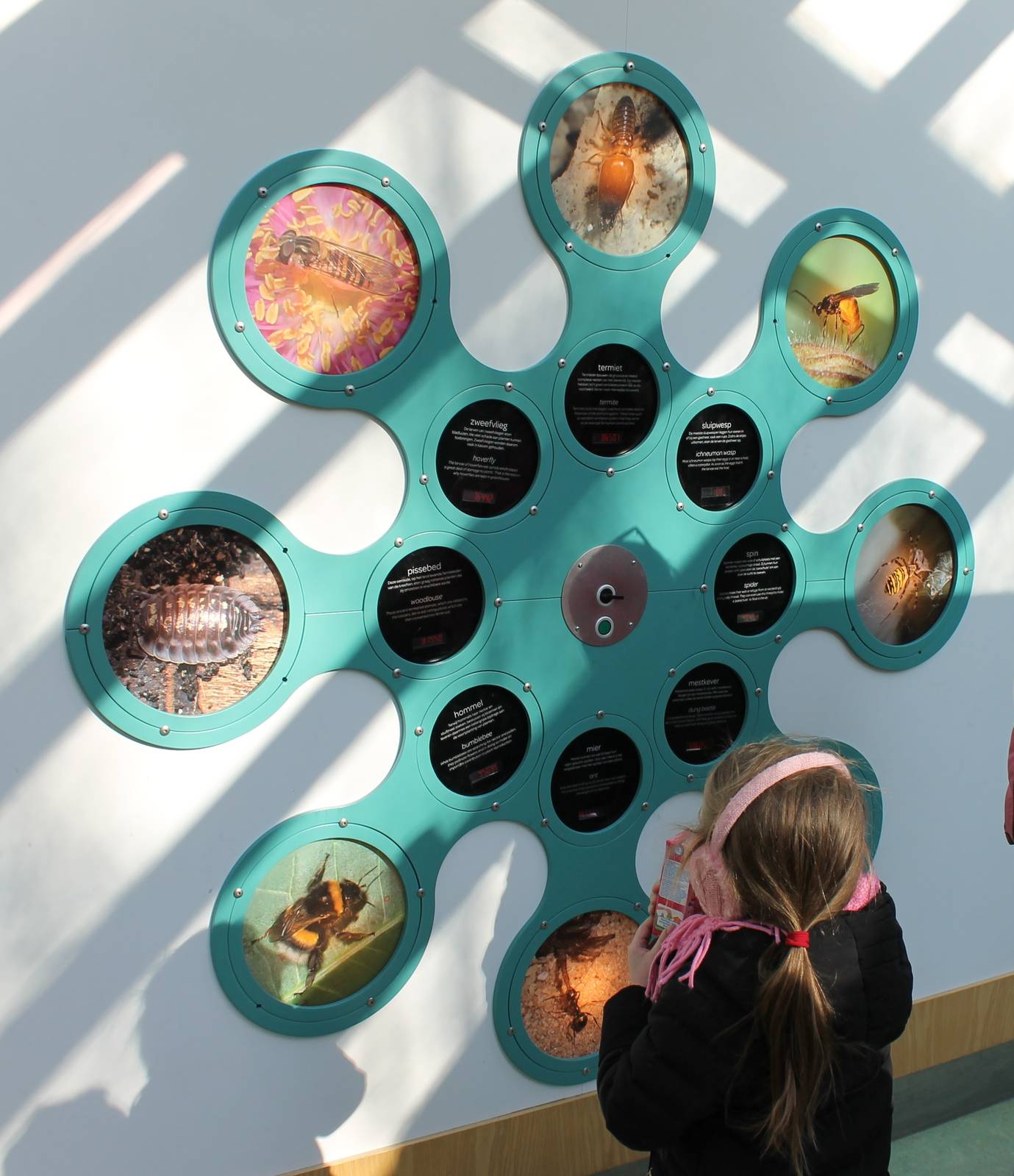 Information wall invebrates