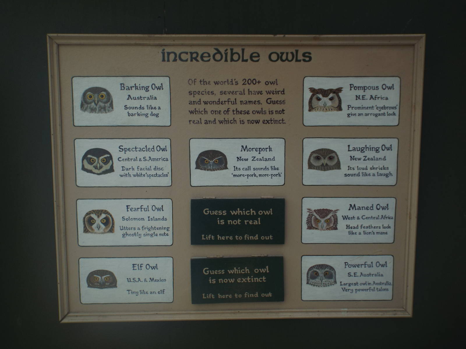 Informational Signage at Scottish Owl Centre - May 6th 2015