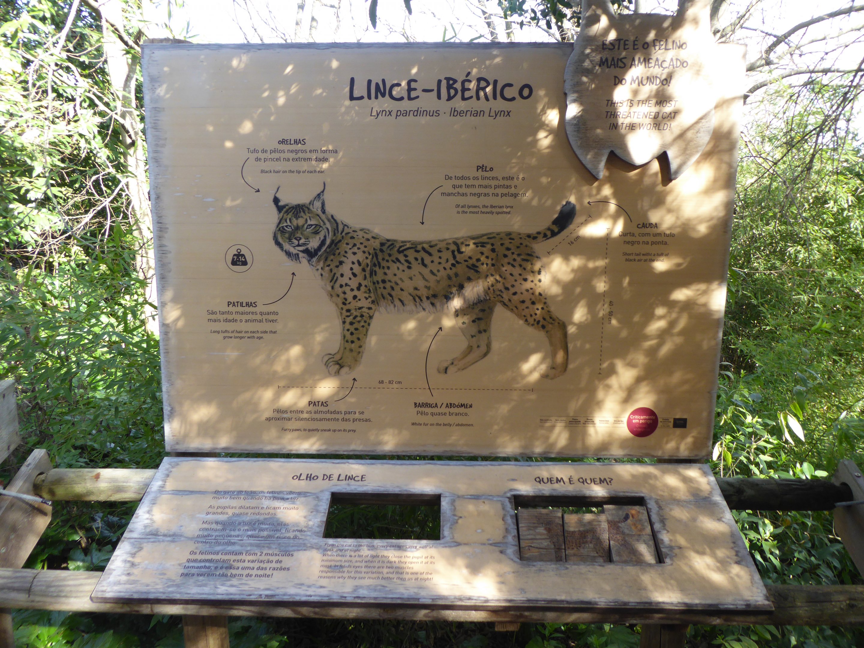 Informational signage for Iberian Lynx (Lynx pardinus) within the "Tapada do Lince-ibérico" complex