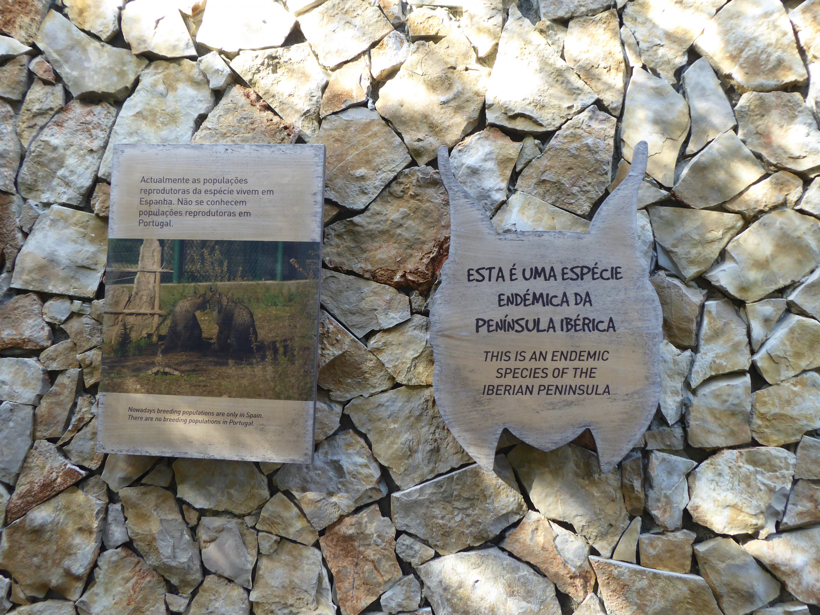 Informational signage for Iberian Lynx (Lynx pardinus) within the "Tapada do Lince-ibérico" complex
