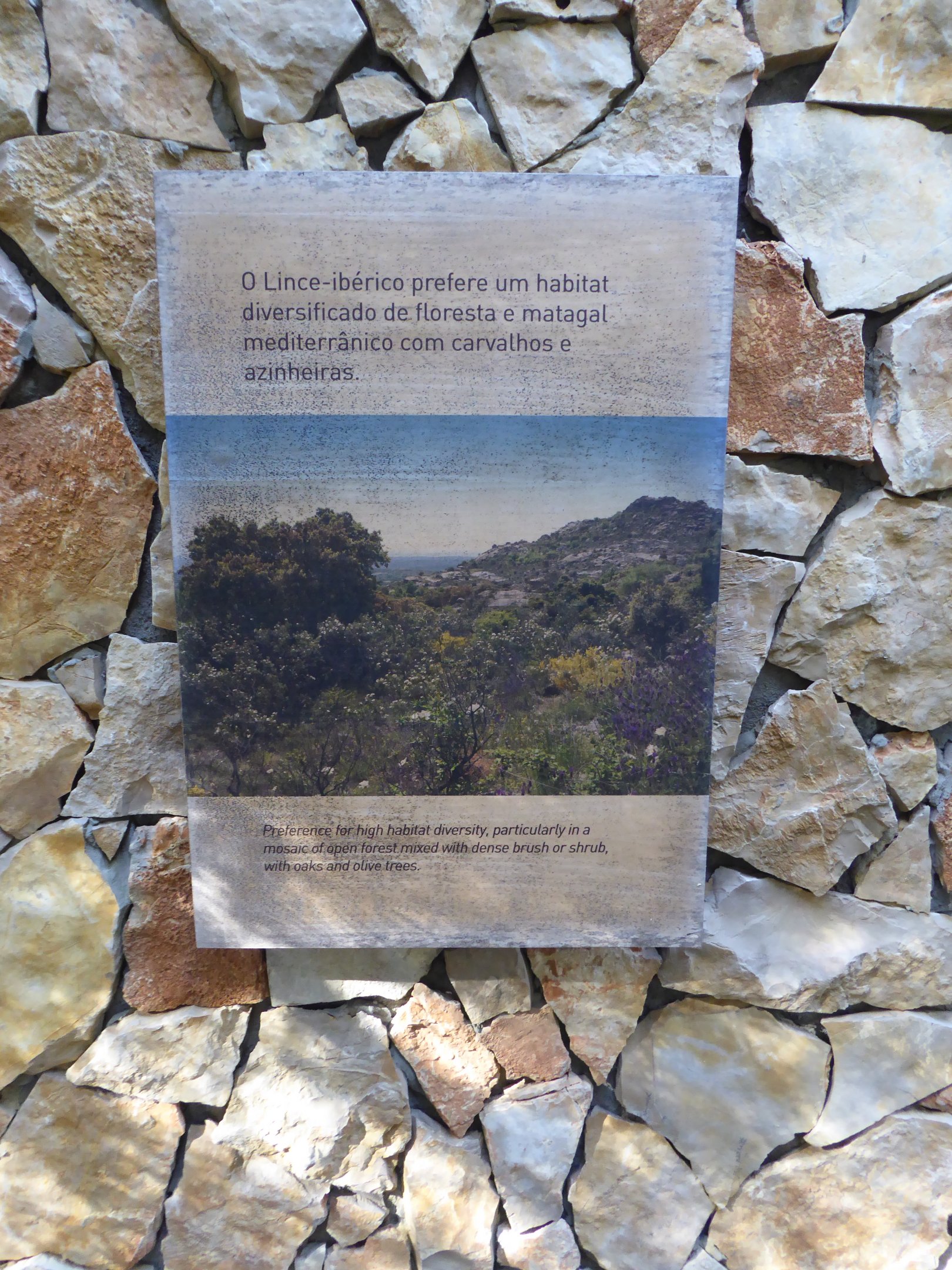 Informational signage for Iberian Lynx (Lynx pardinus) within the "Tapada do Lince-ibérico" complex