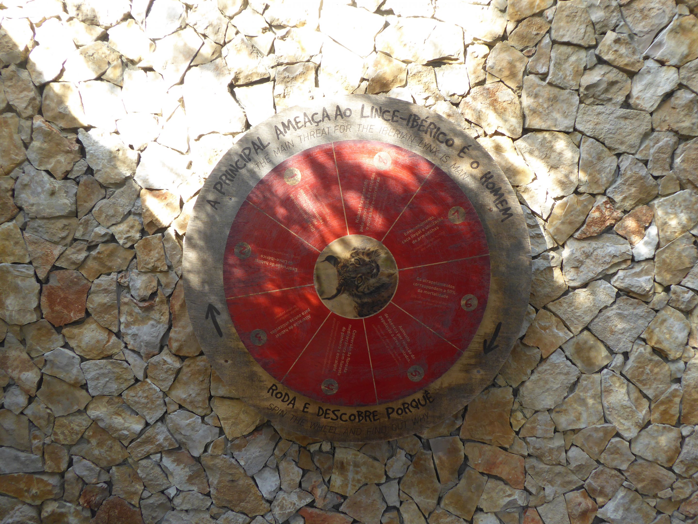 Informational signage for Iberian Lynx (Lynx pardinus) within the "Tapada do Lince-ibérico" complex