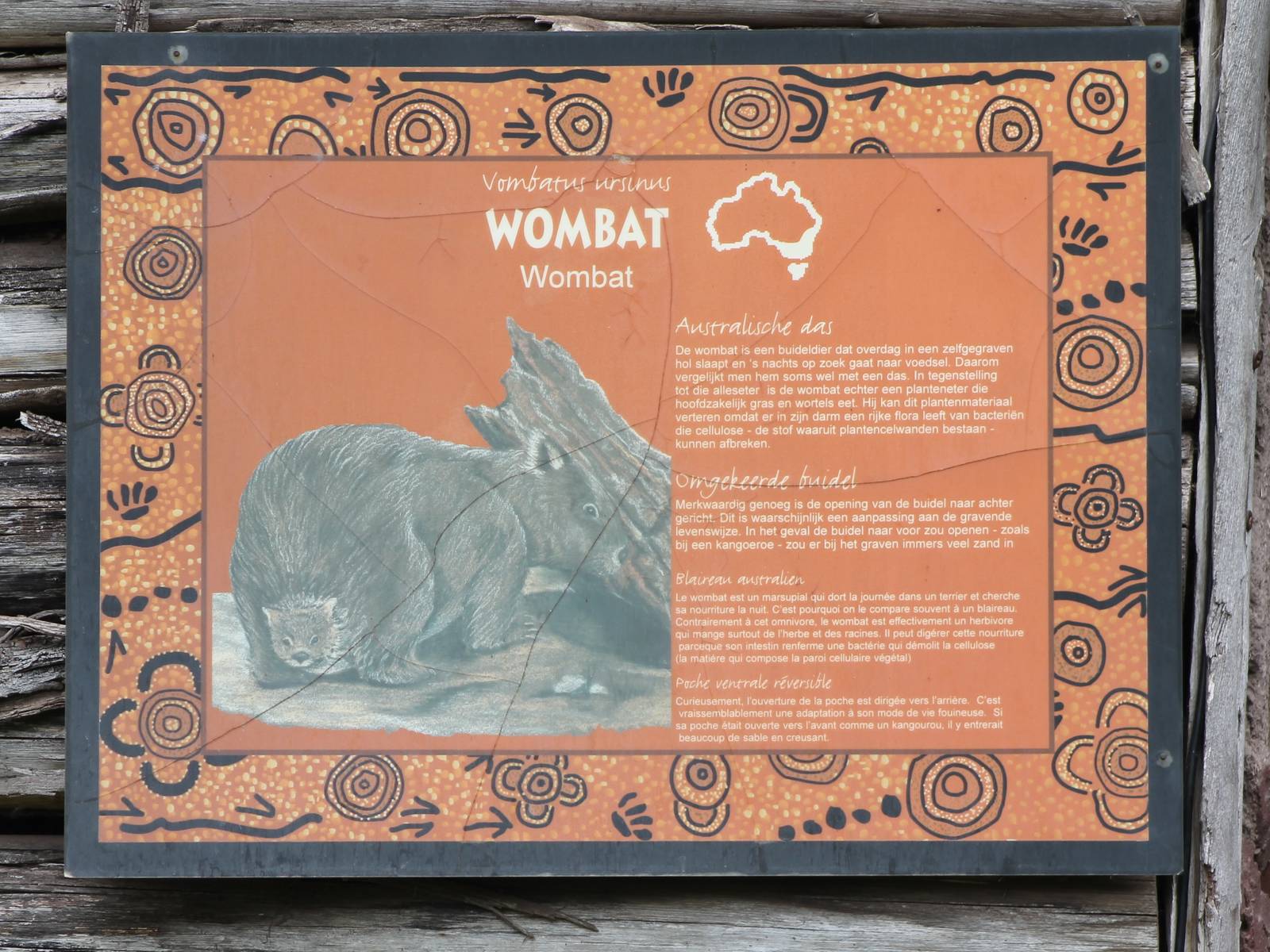 Informationsign Wombat