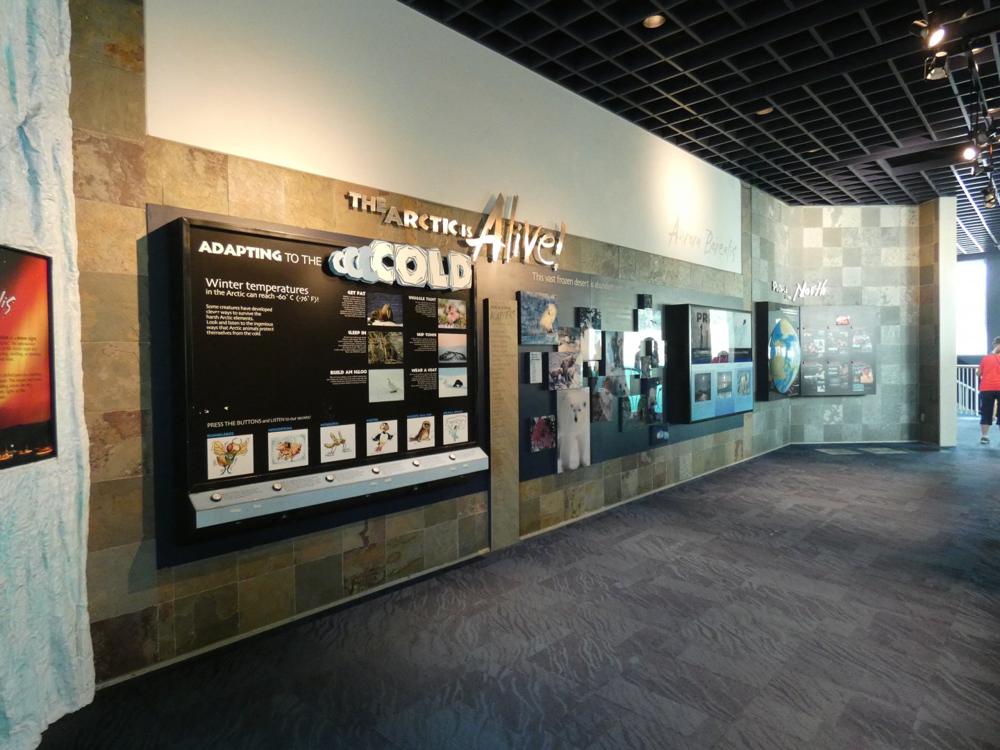 Informative Displays, Arctic Encounter - July 2021