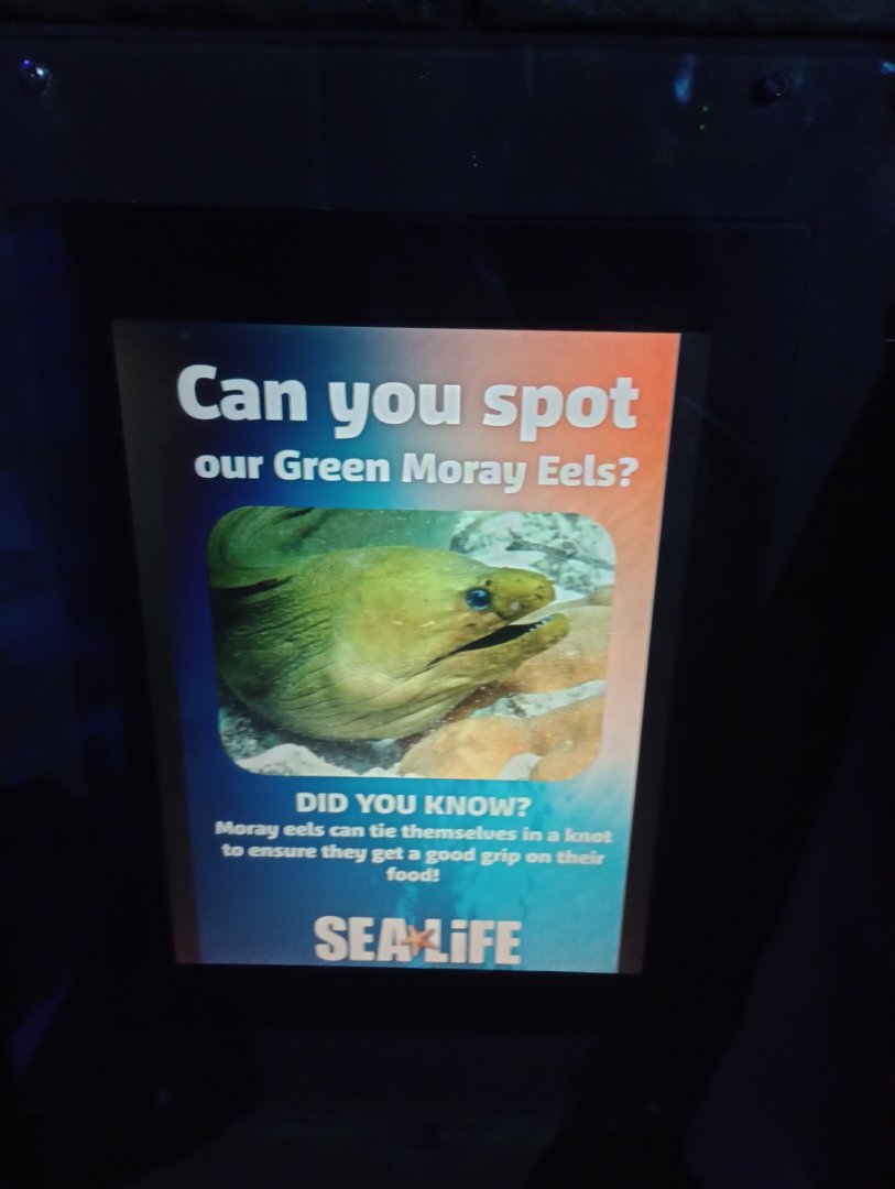 Informative sign about spotting a species