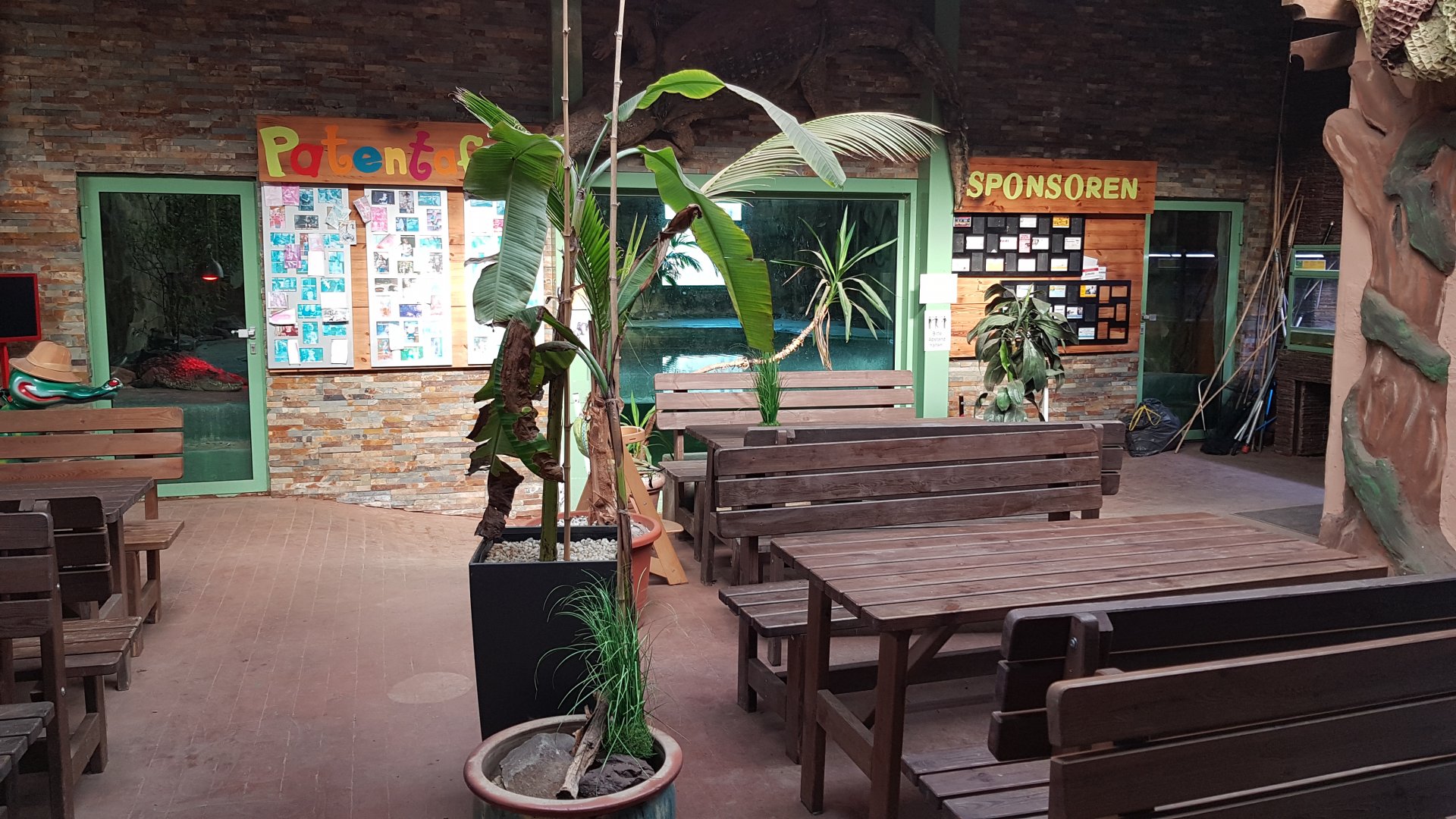 Infront Nile crocodile exhibit