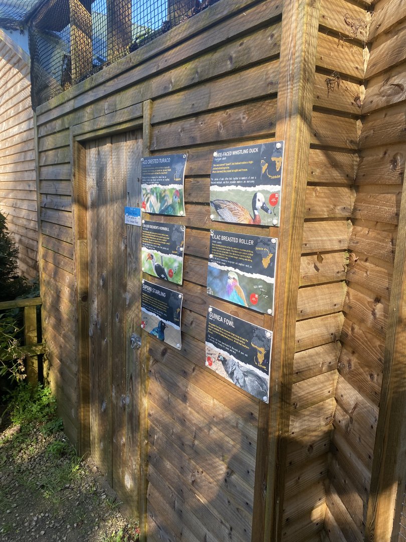 Inhabitants of African Walkthrough Aviary 230922