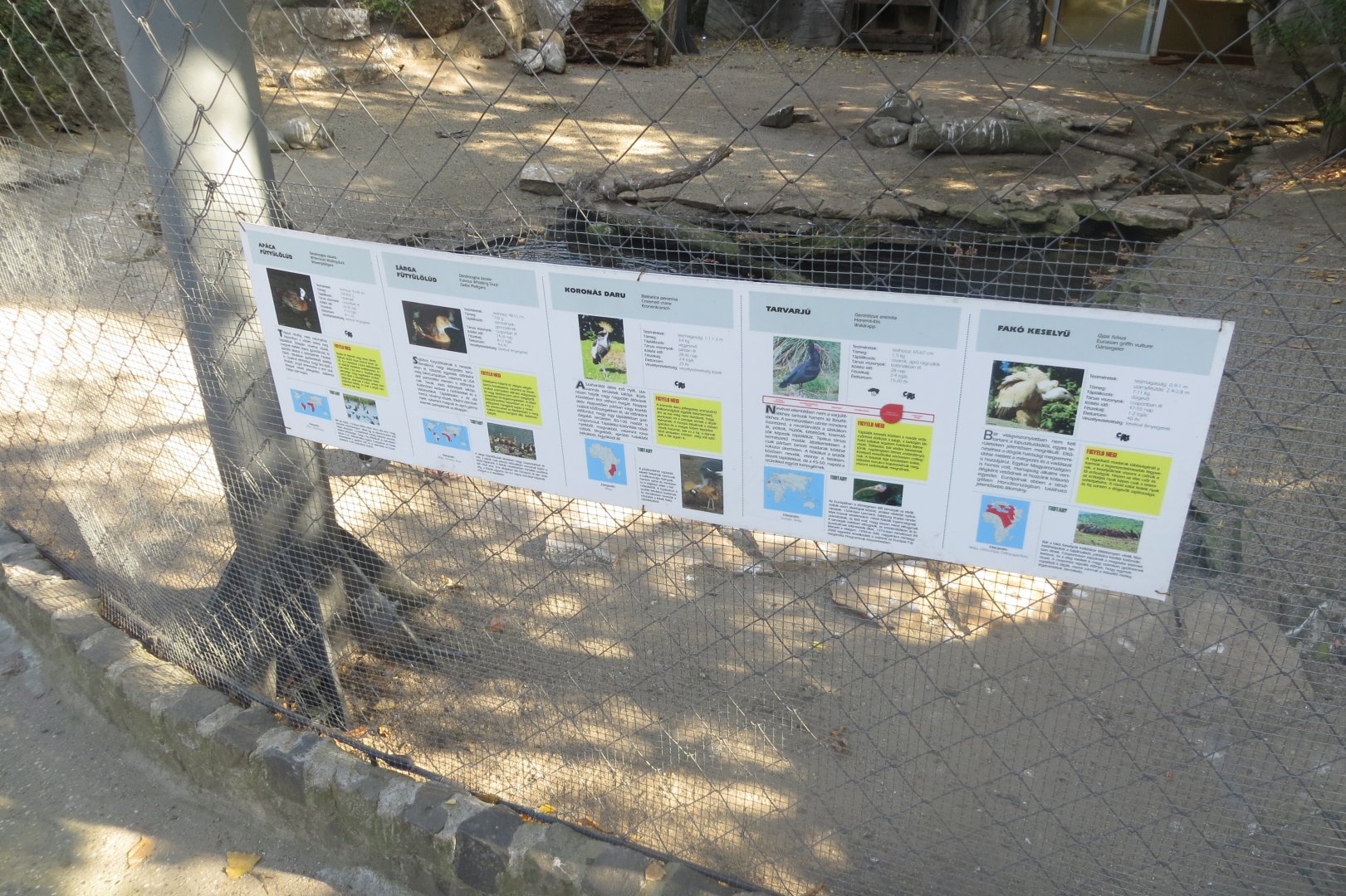 Inhabitants of aviary beside Little Rock 171018