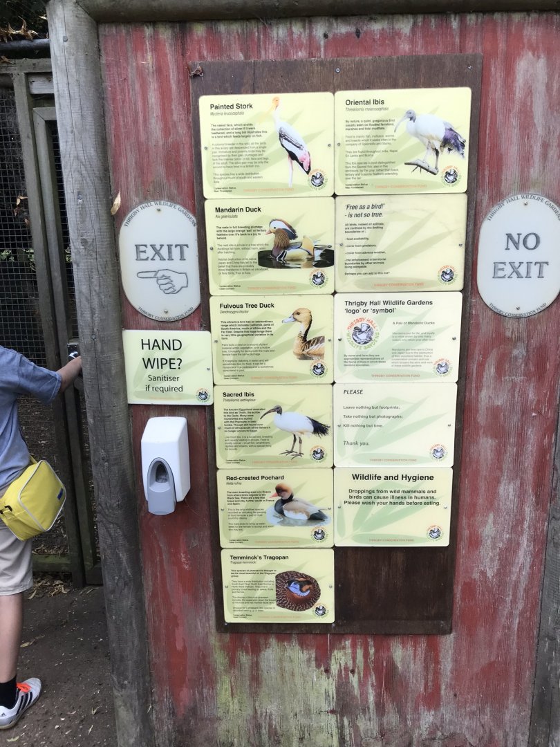 Inhabitants of walkthrough aviary...070818...