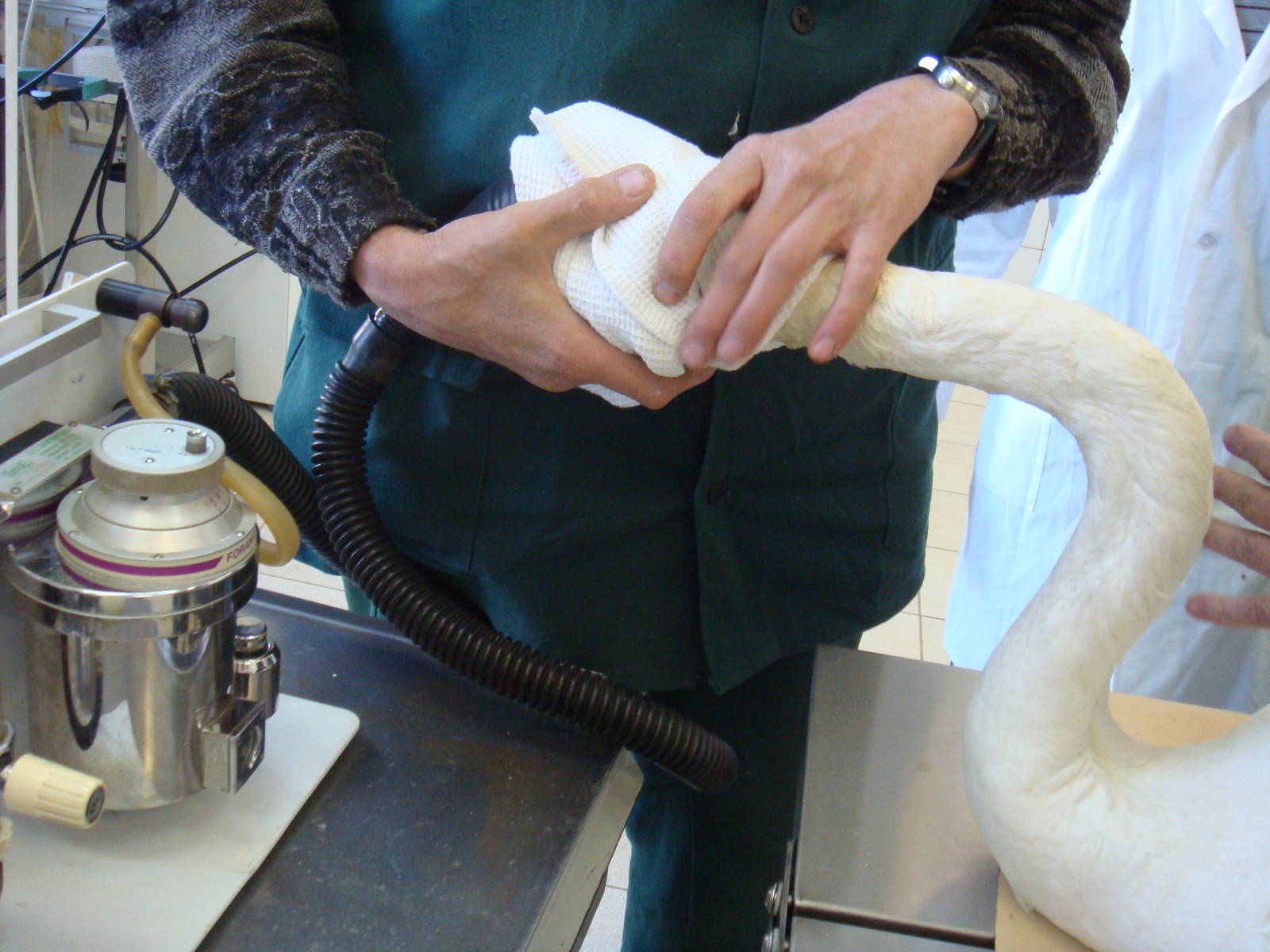 Inhalation anaestesia