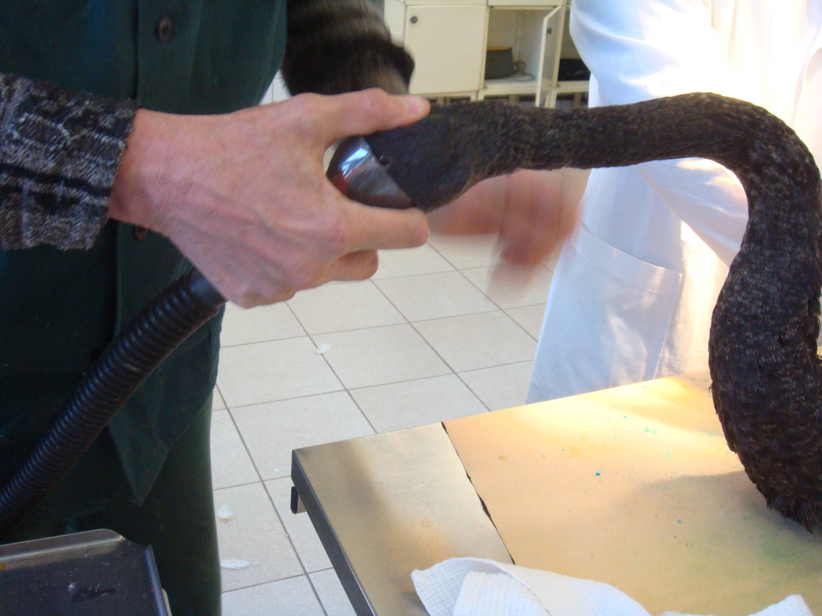 Inhalation anaestesia