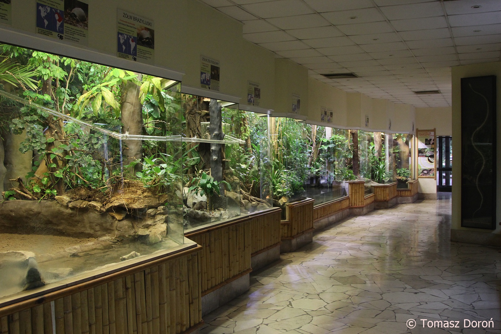 Inisde Reptile & Amphibian-house; October 2018