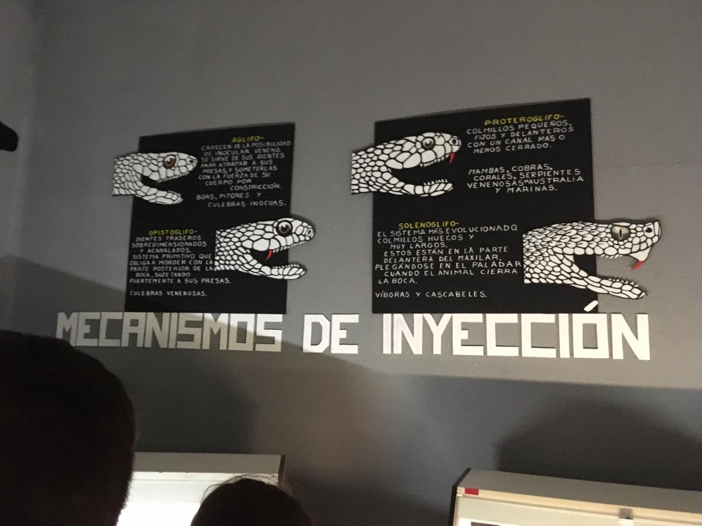 Injection mechanisms display-Cabarceno 2019