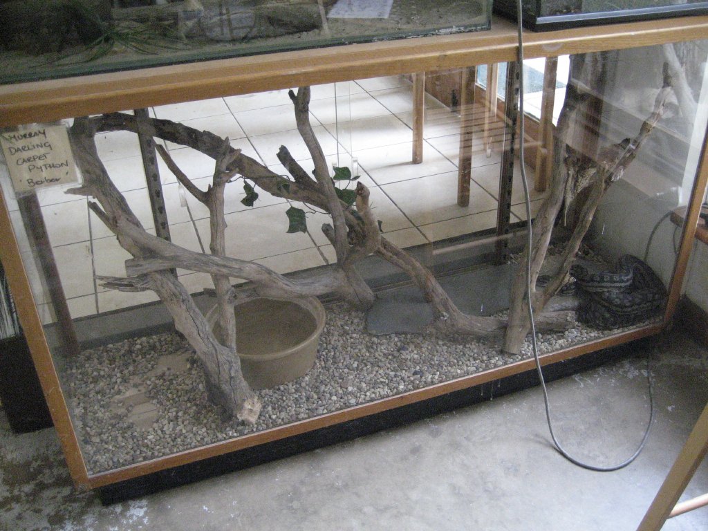 Inland Carpet Python tank