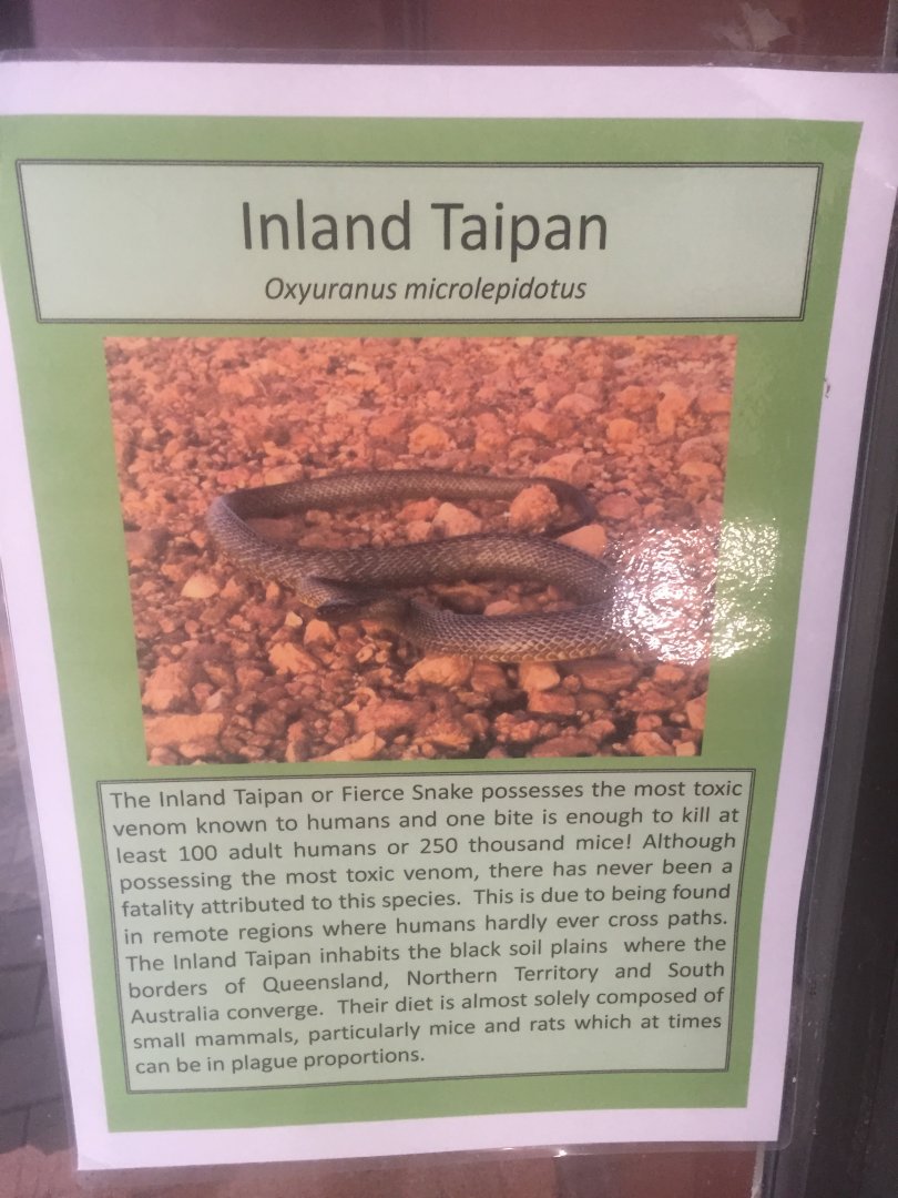 Inland Taipan signage