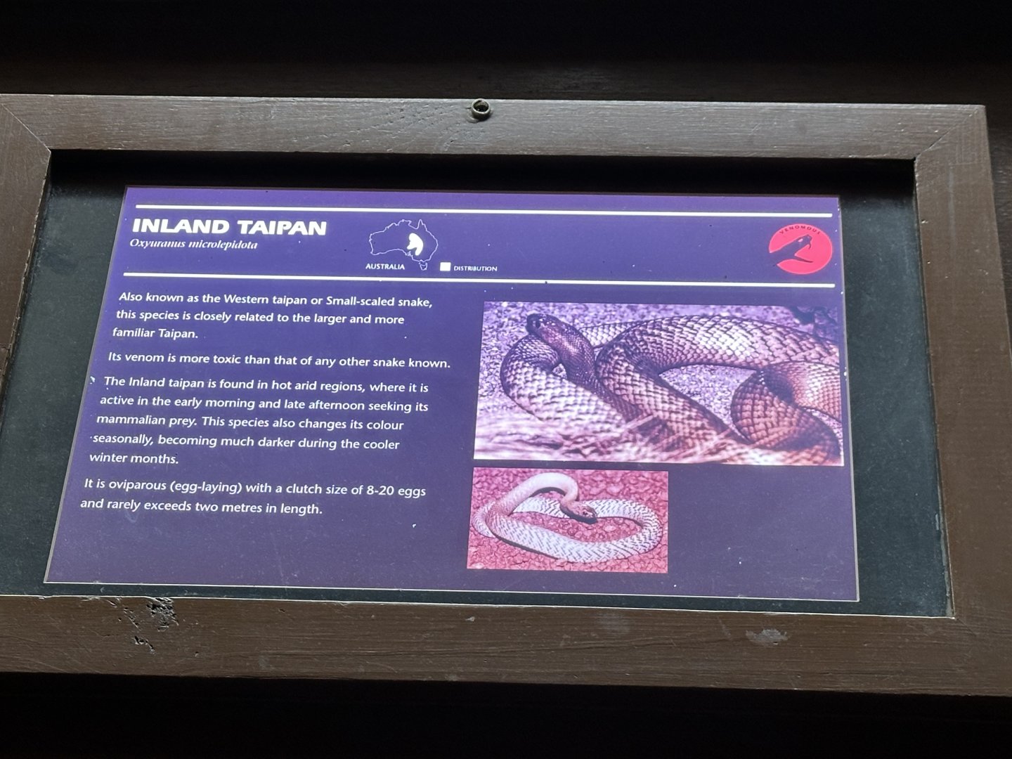 Inland taipan signage