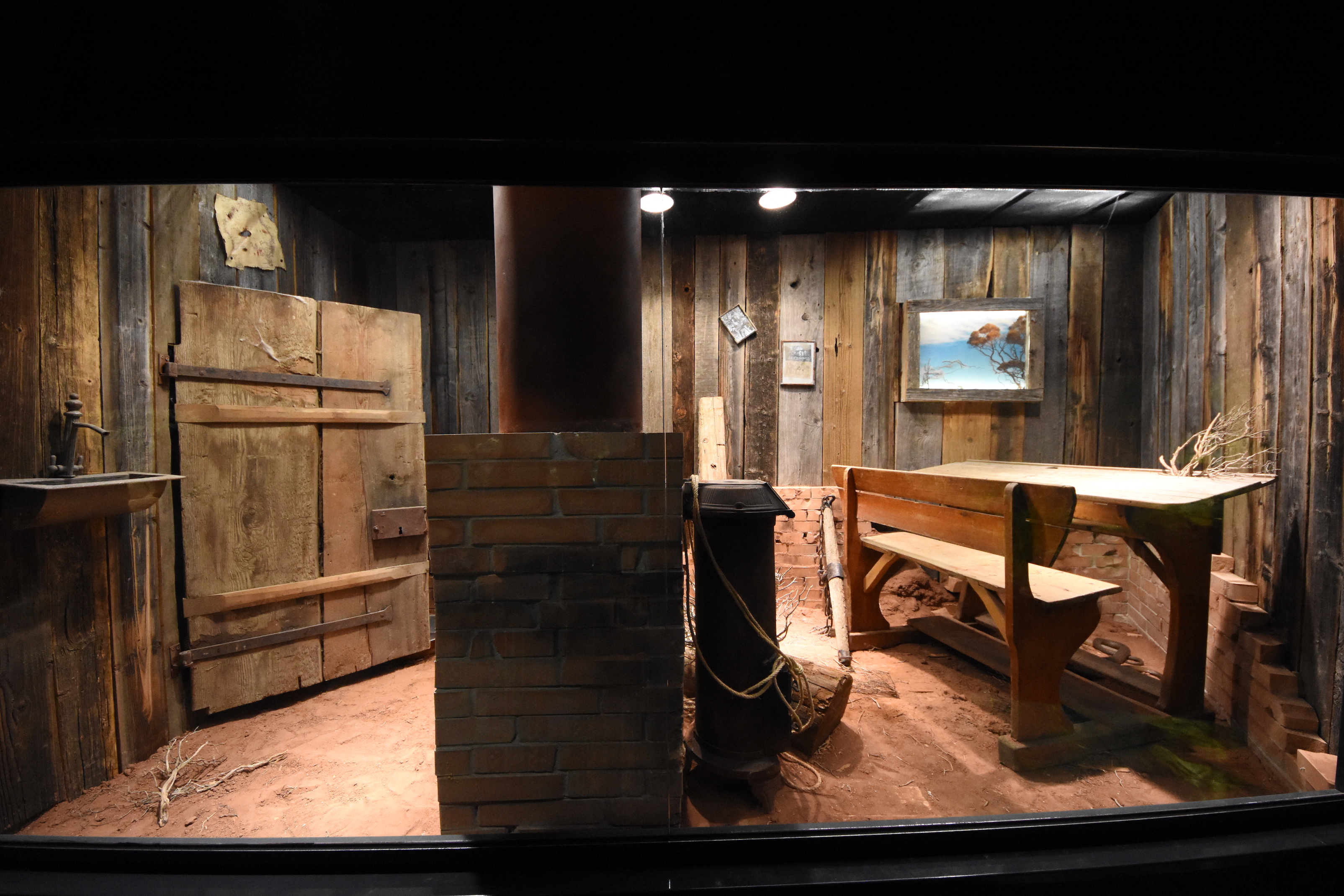 Inland taipan terrarium