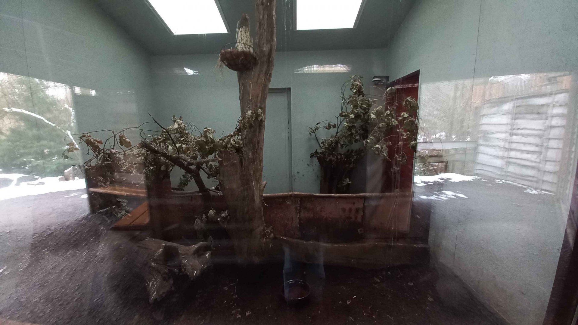 Inner enclosure for kiwis