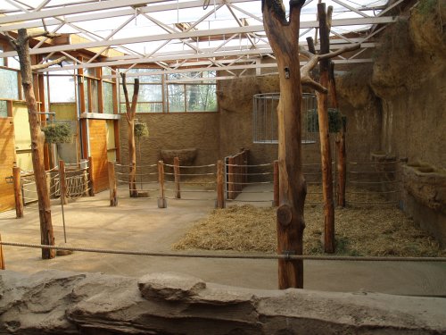 Inner giraffe enclosure @ Duisburg zoo