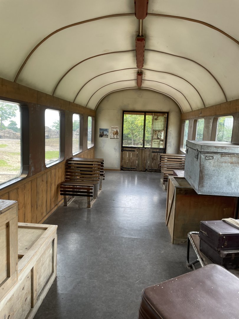 Inner sight of the train aka the poacher’s den