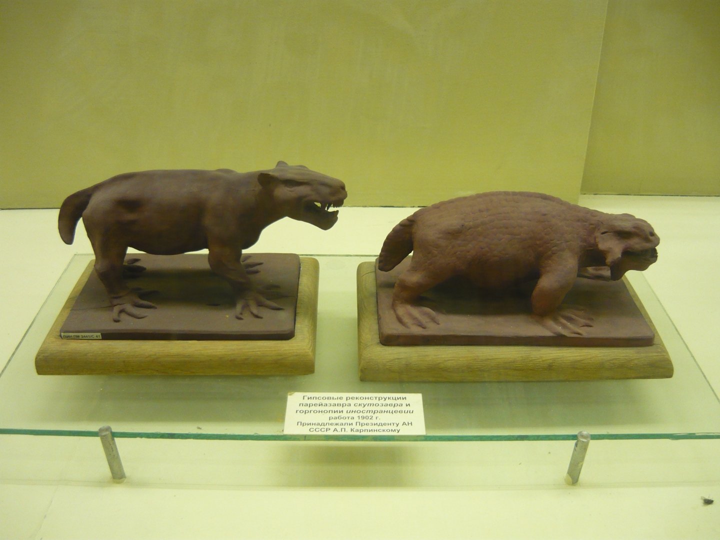 Inostrancevia and Scutosaurus early reconstructions