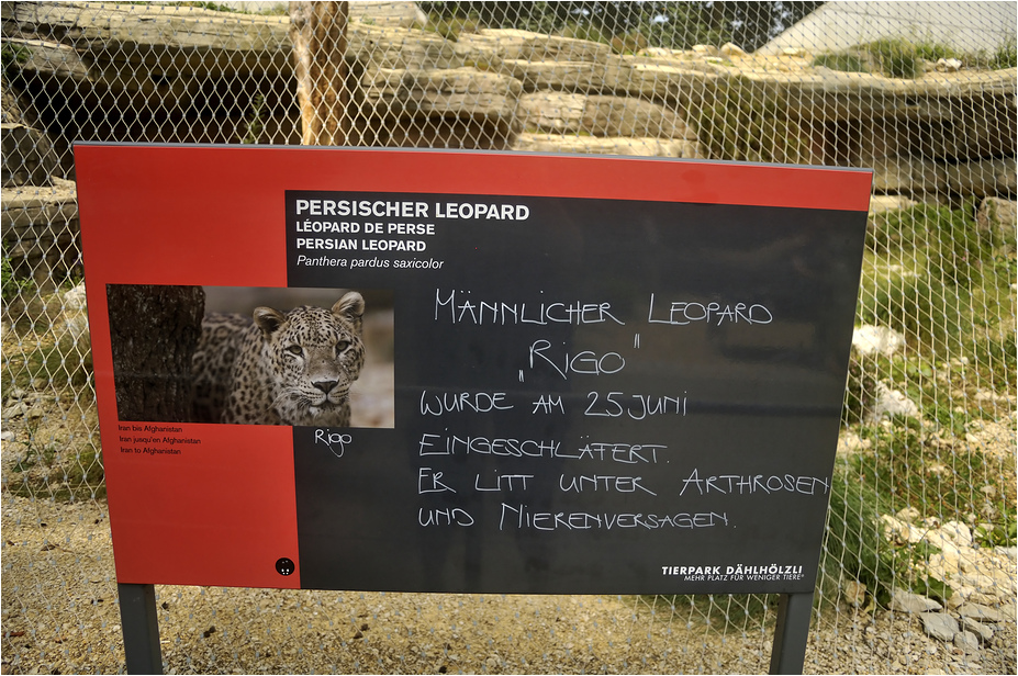 Inovative sign at Dählhölzli zoo