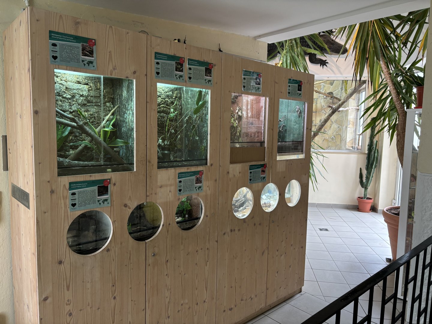 Insect Area of the Maxlhaus of Zoo Wassertstern (Ingolstadt)