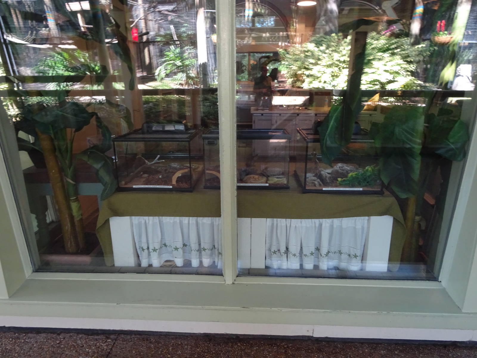 Insect Exhibits at Busch Gardens Tampa